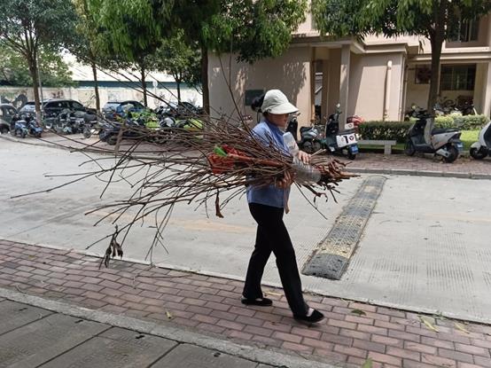 d8728214147572f0bae0eb5b5e45bed