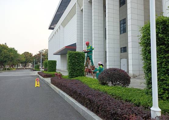 9813d92ace92bdb9f1caa25a4815d9e