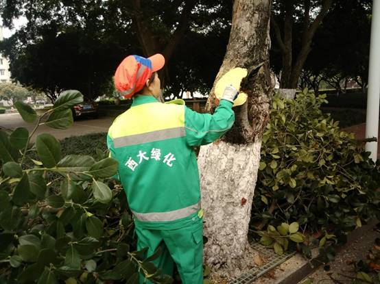 2f56c0f93fa29533ef204ee13a0303e