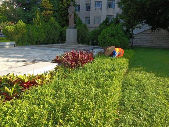 2d6f883183f744a5d8336f6668da2ec1_