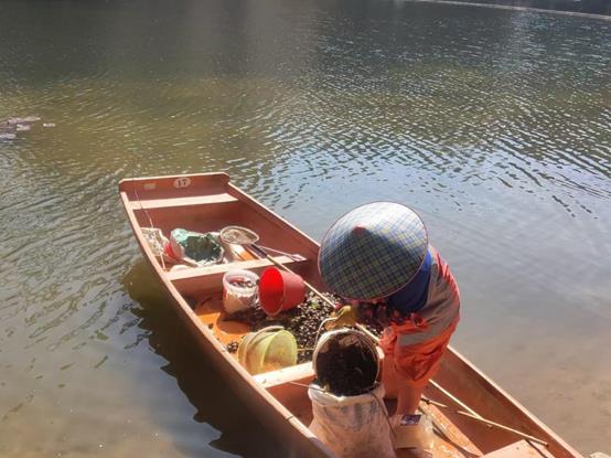 1572759c94a169cdb7d0494d9f3c46a