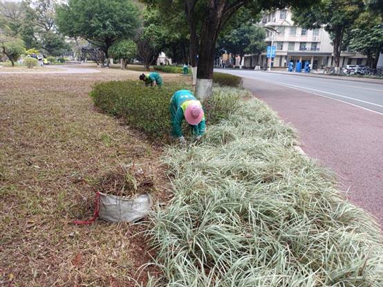 80f71898ee4405abdb0cdb72209f294