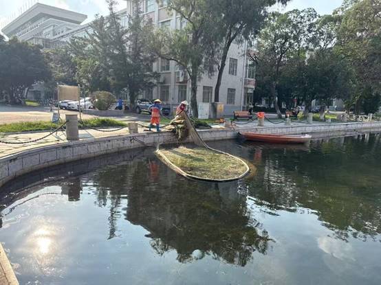 5eae6e5911b60a989c68116209769b3