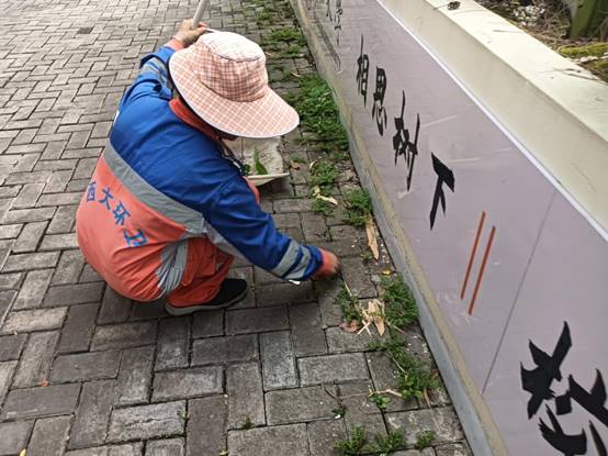 c5ca1b20d229cfe017d70c540804482