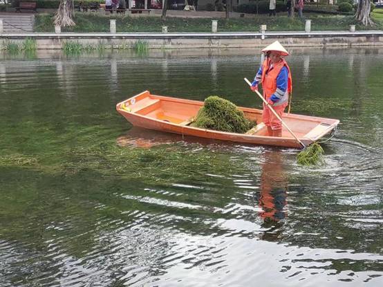 52eb3ed4d89a5832c128fa166c51250