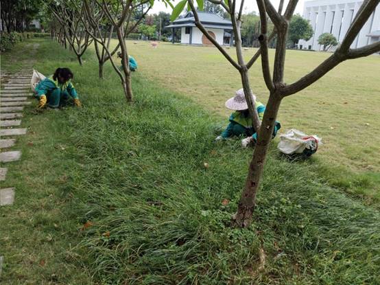 6b2263c767845f2d566fb40ac34a31c