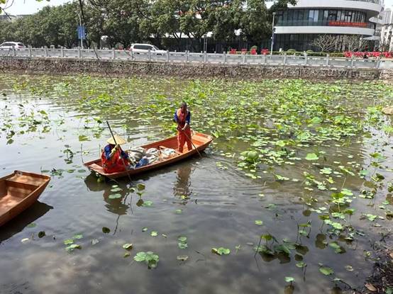 cb1cc3593d4b9995a4f5ed2d7c95ae3