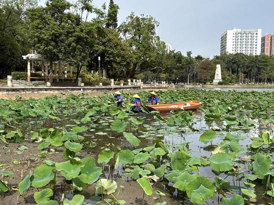 a1b57d7e042c4ed28358828da27ac95