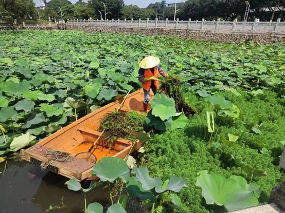 5c2277d45e8e4920773c83128d8e8d1