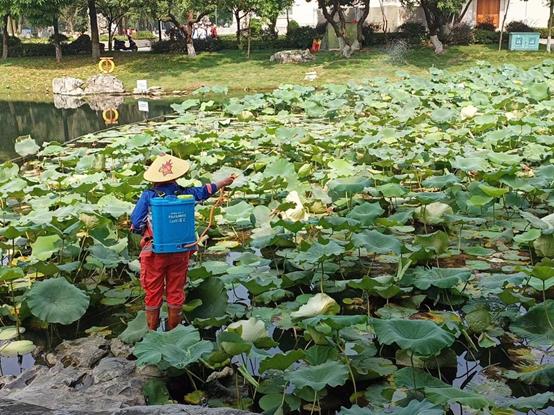 f56379d030e004aacc332e9abbd6df9