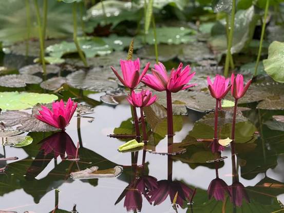 6fc18e4da10127a51f3466e5ac52bca