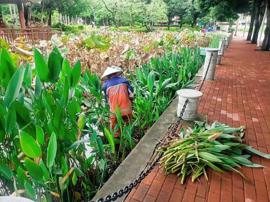 483f8753daa4d7e83996a3a3966ca559_