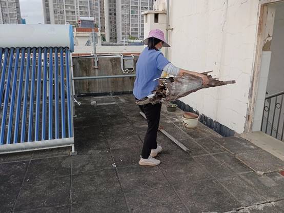 3b7e258006122f20d1ff130736f2342