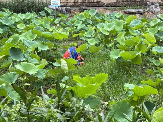 5f18d8b3d0e725a5a045733f17abbd1