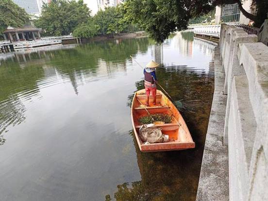 2836a1409baf91a1ea29660ca291725