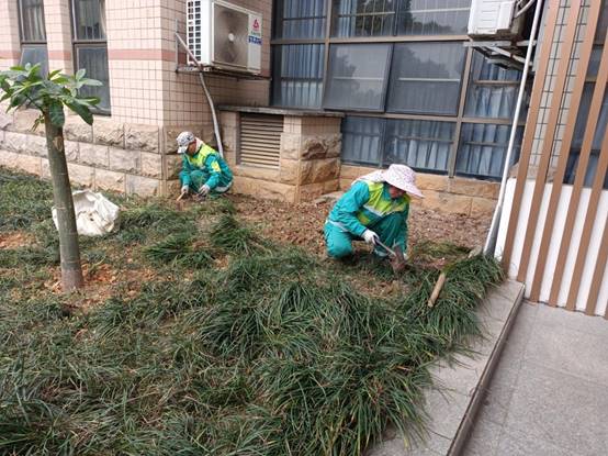 2a744727edebf162f394d5d65fd98f1