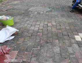 b4f6764d3415a377a7aea592ed2d559