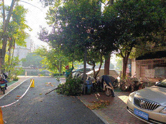 1f06eafaf7952c537b5a007503104cd