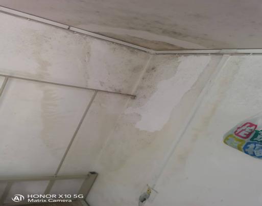 9084d0b6795e2a06b0d04ed3ee863048