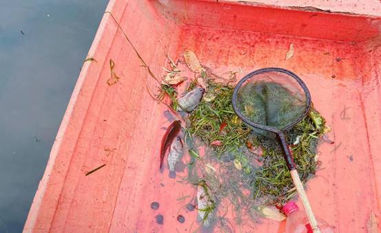 地图描述已自动生成