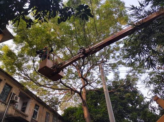 83dbf7bf39fa7a169bfe16384bf33dc