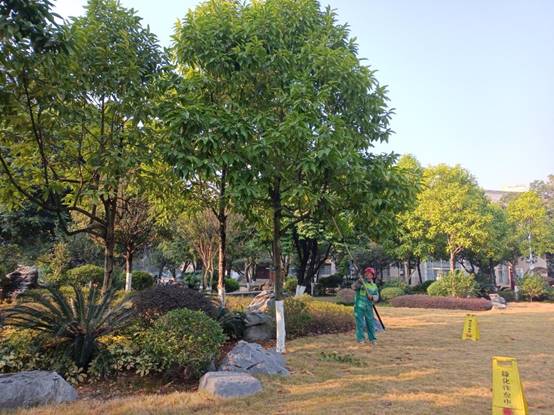 284c4fb970aa3e3eda153b7fe00df4c