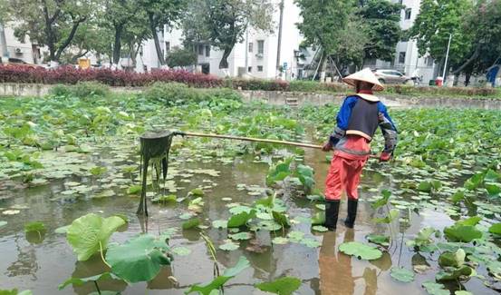 b73b7e6de9bdfc9008cf735d1429b120_