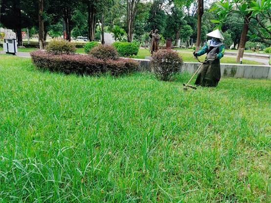 bb2cec9df707ae787683e506d338912