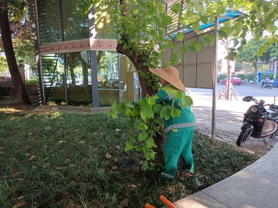 1394e2d27afdab4ad13d56b41ea54b4