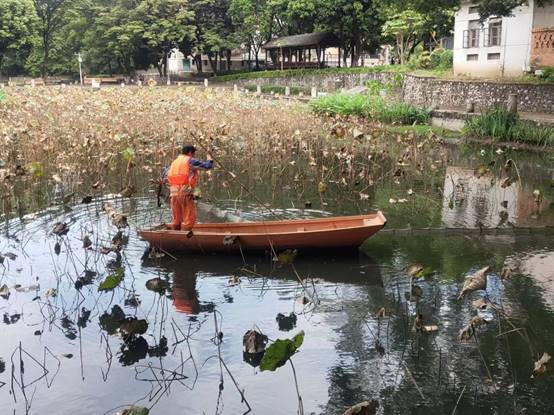 eca00d765ddcc95981e625d21971a39