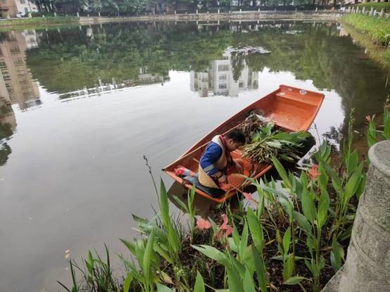 e2d34e90092109e6f067f54e3e5fc9e