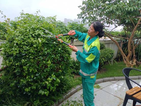 37b9495e4edcc17a292d0a149841b82