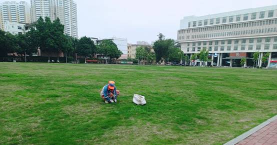 图片包含 草, 户外, 建筑, 绿色描述已自动生成