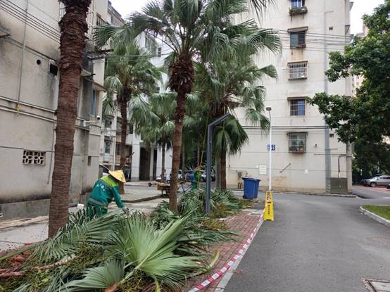 d00fa7f5c0d03f9327d49b852111490