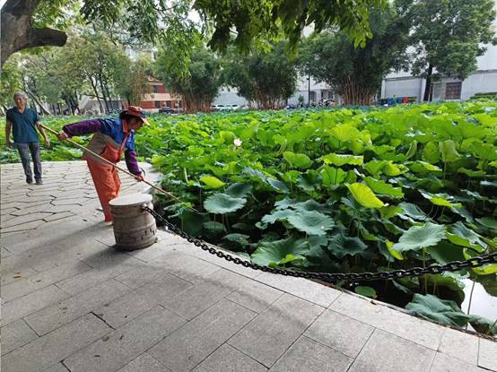 7b9106ca86328fac8d8b2a09755afd0