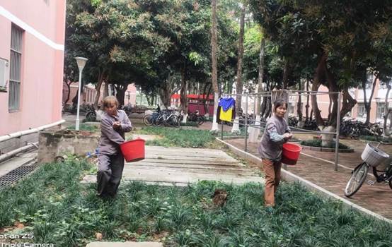 说明: d033bc369dfaeb144a2fb9324c730fc