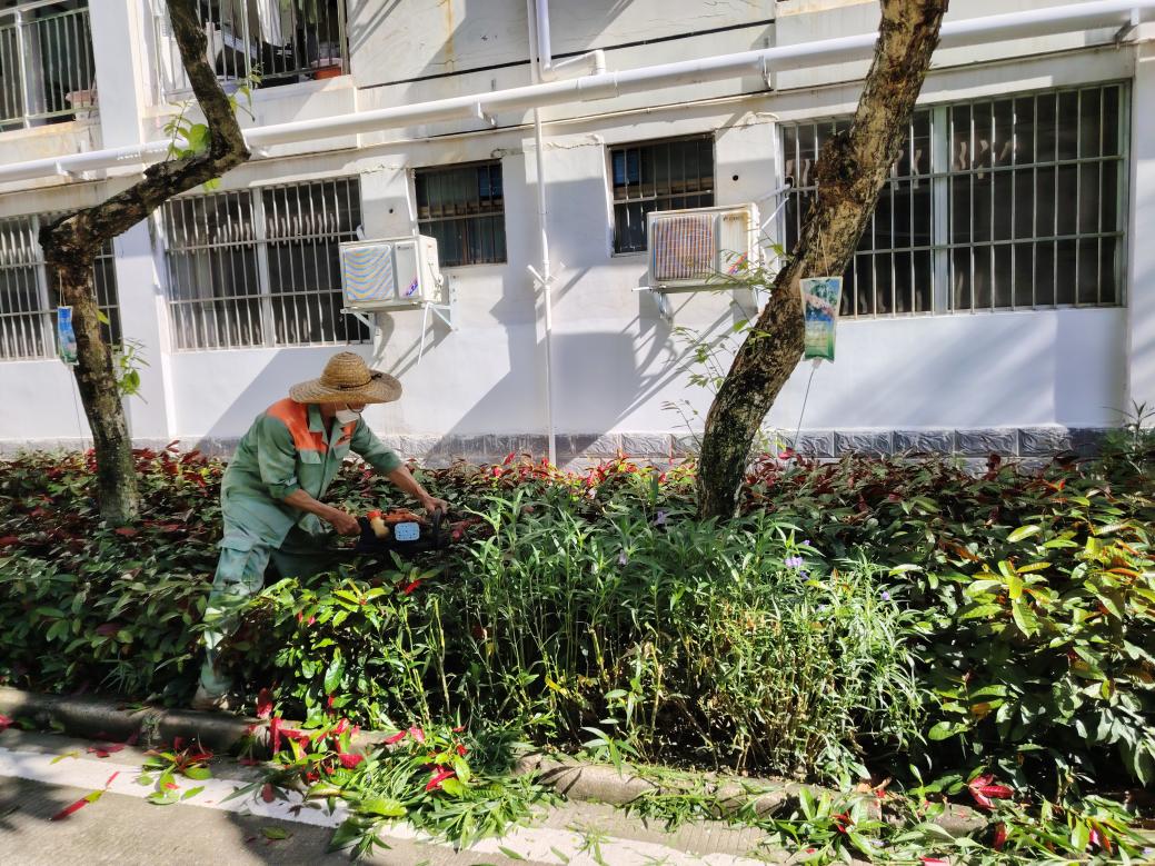 dc6698862d36e1b49325de81d09f3d1d