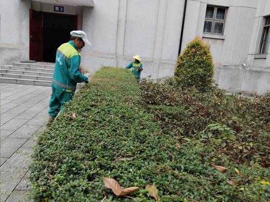 804f9d9f62223fabe1a4057f430eb3f