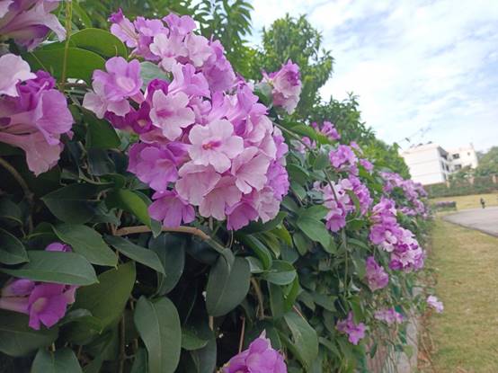 6258d96ae4851cc29d1e3e2ec670369