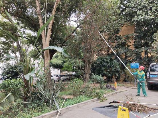 489b66691a1d854fed6a790d7513986