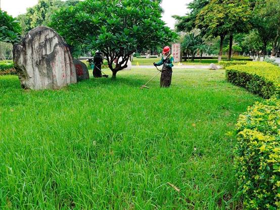 dcc86609881fe6d5a77a9f9e72e5176