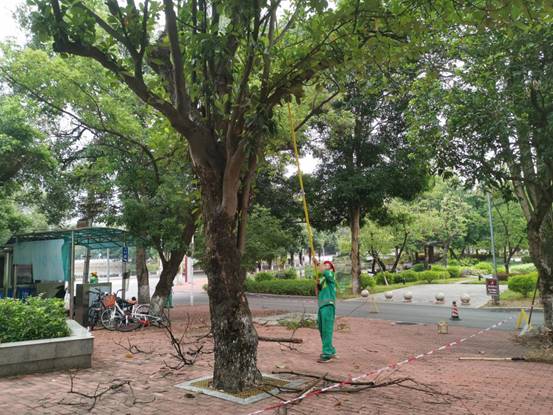 55f153f938e0a818cd2698ea89ba1bc