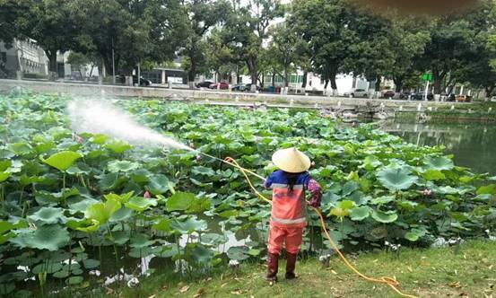 3ef80e7170fd86cbd34ed8ff597db00