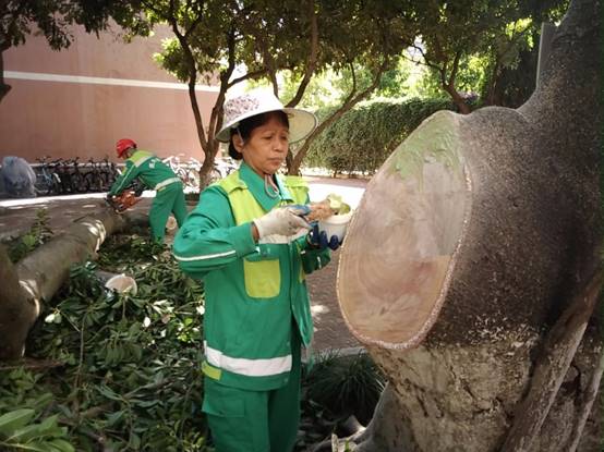 ddf747c56c1a2eda5780e1bfb5cfea3