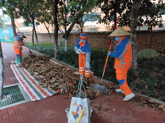 535baefa81c552ddbd76342451af39b