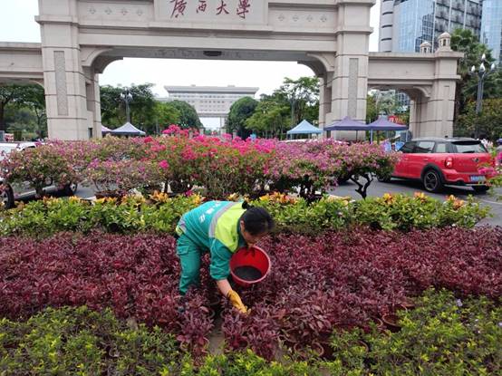 ddfc99abe06afa9b32a649ce1ad6996