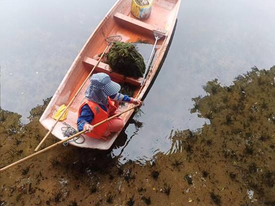 cd845bf4396b50a885af081a47c43db