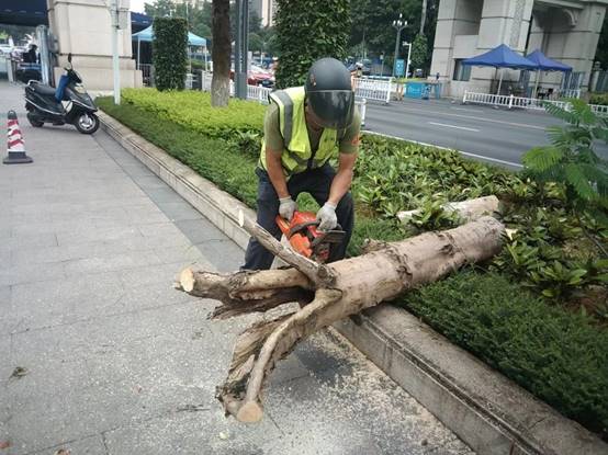 a360478331ceb6dfd0d7744e223c3bf