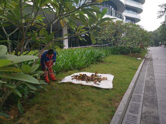 f44c0608547159d871f5de355177515