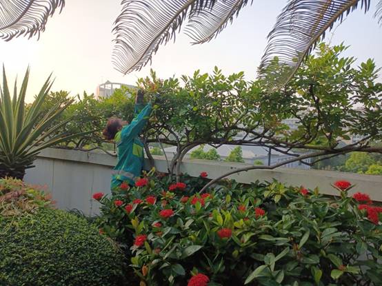 d27b0225c85ece530be6dd4feeb9996